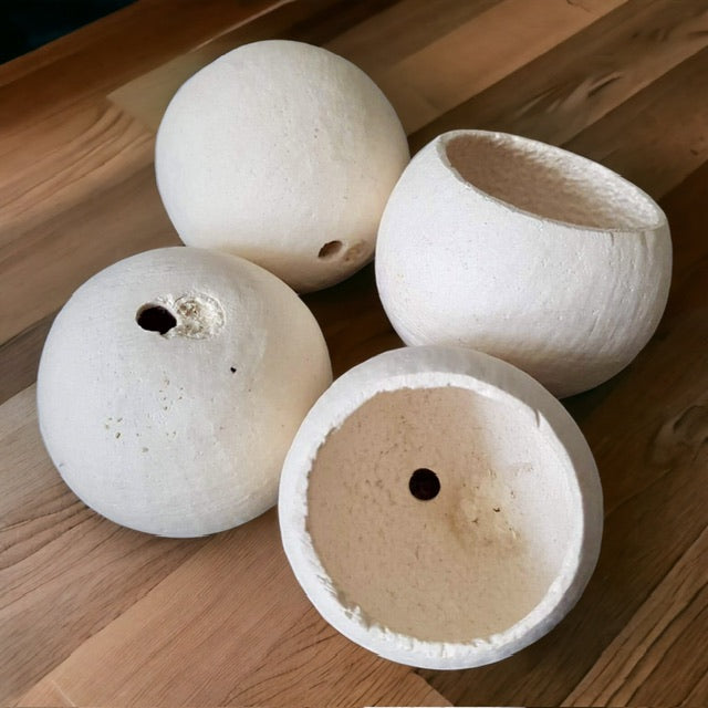 Houten cup - Parrot and Bird Supplies