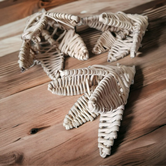 Tulp - Parrot and Bird Supplies