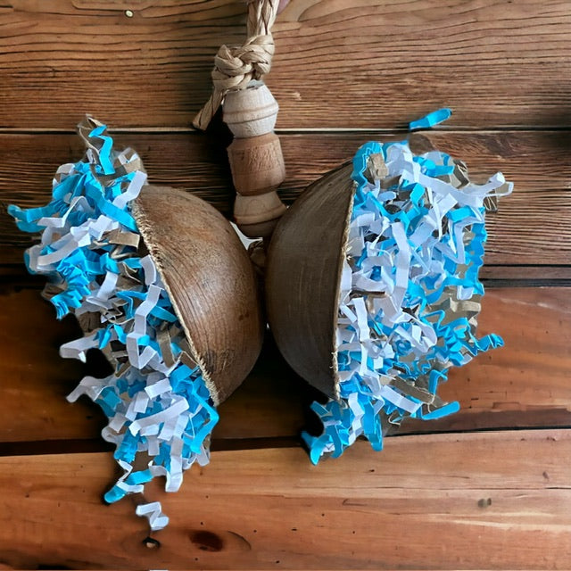 Two cups - Parrot and Bird Supplies