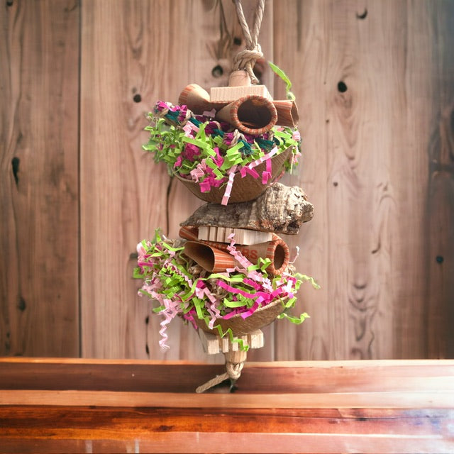 Daisy - Parrot and Bird Supplies