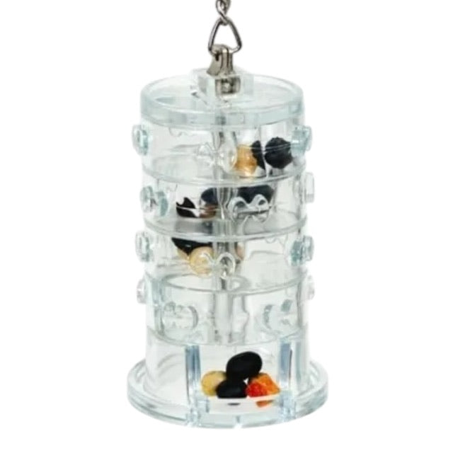 Birdy Einstein Rings of Fortune