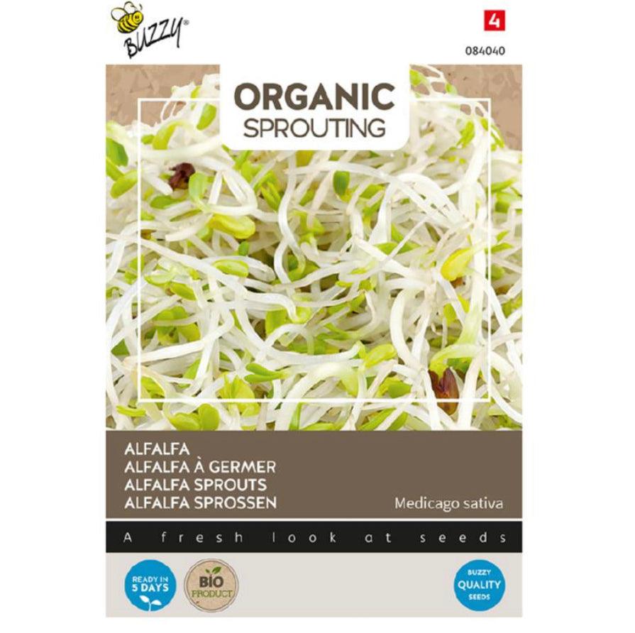 Organic Sprouting Alfalfa - Parrot and Bird Supplies