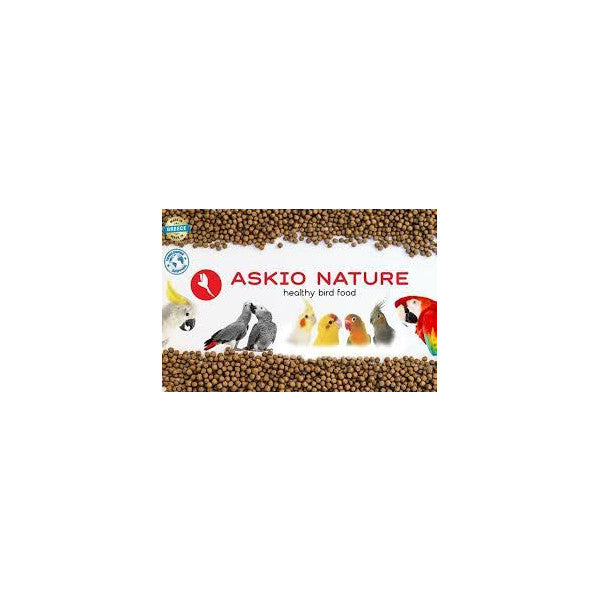 Askio Grote Parkiet - Parrot and Bird Supplies