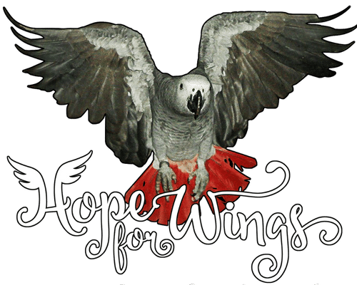 Donatie Hope For Wings €2,50