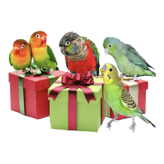 Maand box extra small. Alleen speeltjes - Parrot and Bird Supplies