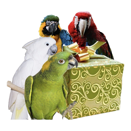 Maand box large. Alleen speeltjes - Parrot and Bird Supplies