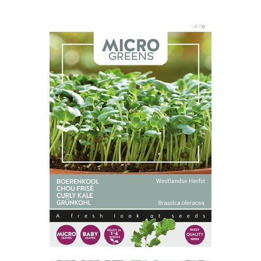 Microgreens Kale