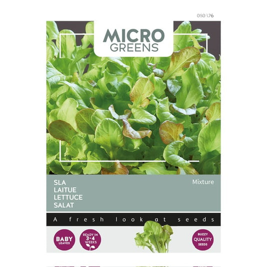 Microgreens Lettuce mixed