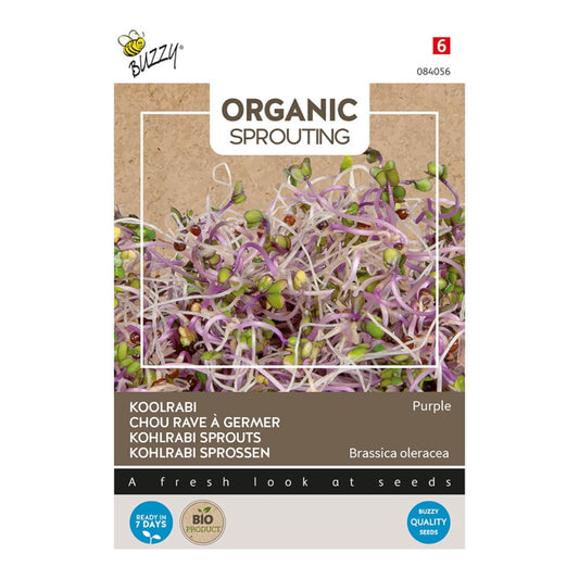 Organic Sprouting Kohlrabi blue-purple