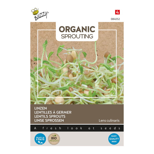 Organic Sprouting Lentils