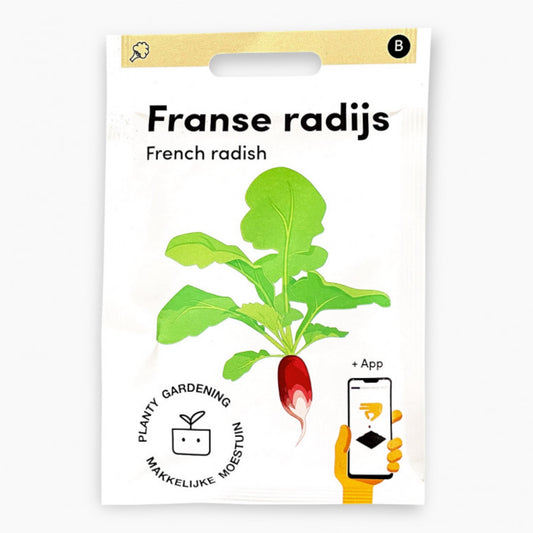 French radish